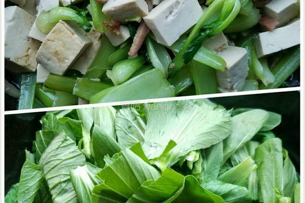 小油菜炖豆腐的做法图解4