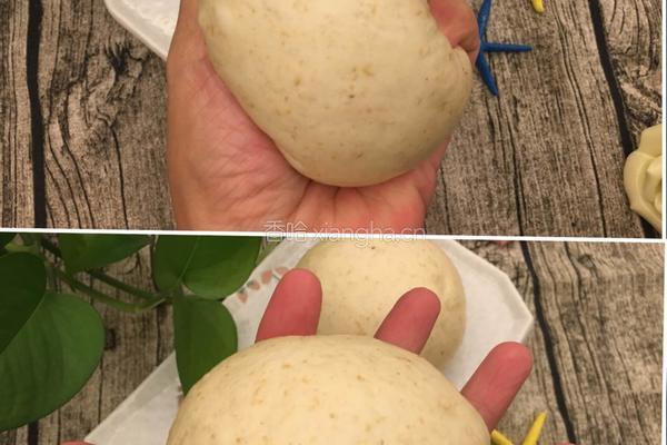 麦麸馒头的做法图解16