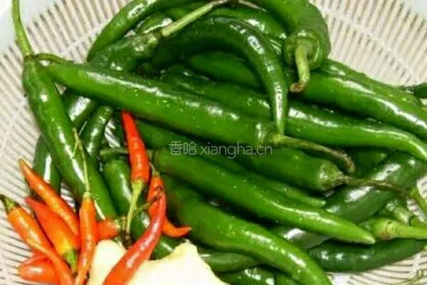 爽脆泡菜的做法图解1