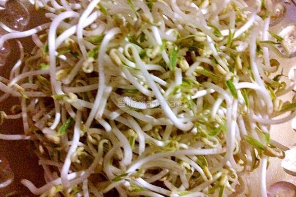 豆芽炒豆泡的做法图解1