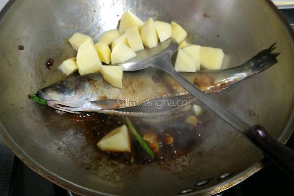 沙丁鱼炖土豆的做法图解8
