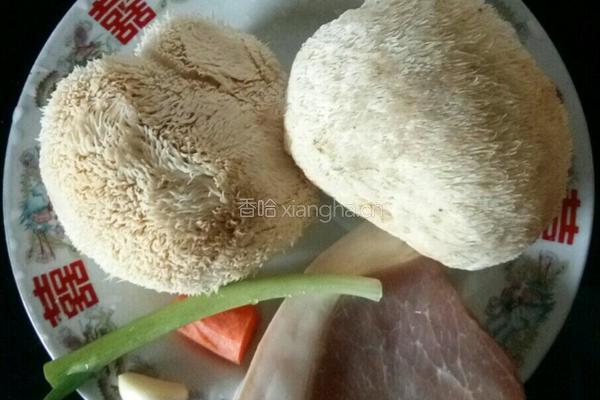 红烧猴头菇的做法图解1