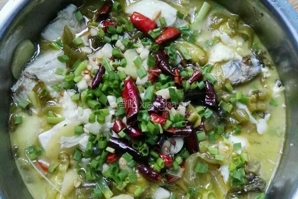 酸菜鱼的做法图解3