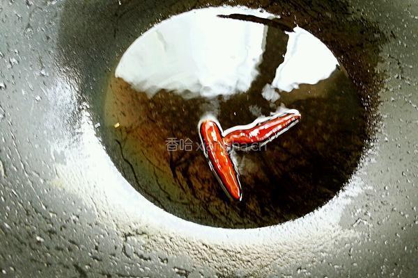 豆角烧茄子的做法图解8
