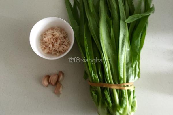 蒜炒油麦菜的做法图解1