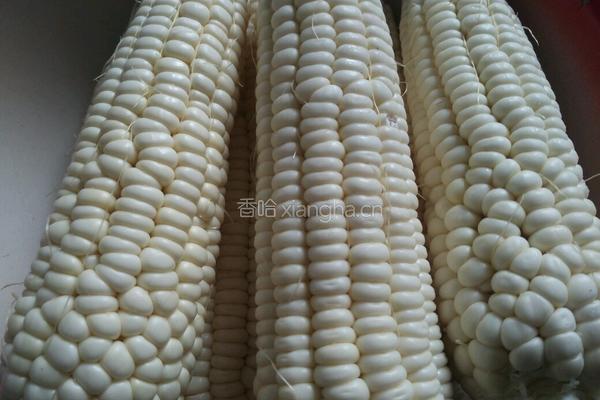 蒸玉米干粮的做法图解1