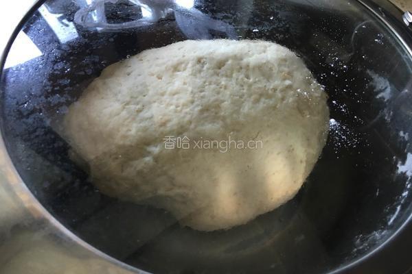 冬瓜馅饺子的做法图解1