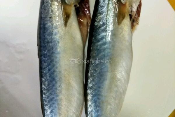 鲅鱼炖豆腐的做法图解1