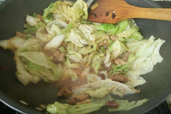 大白菜烧肉的做法图解8