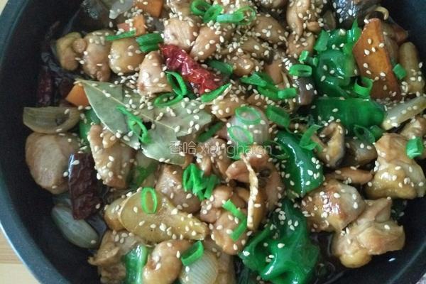 香辣鸡煲的做法图解16