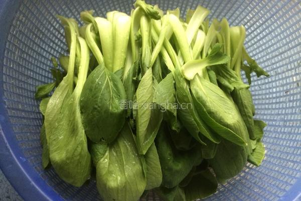 虾米油菜的做法图解2