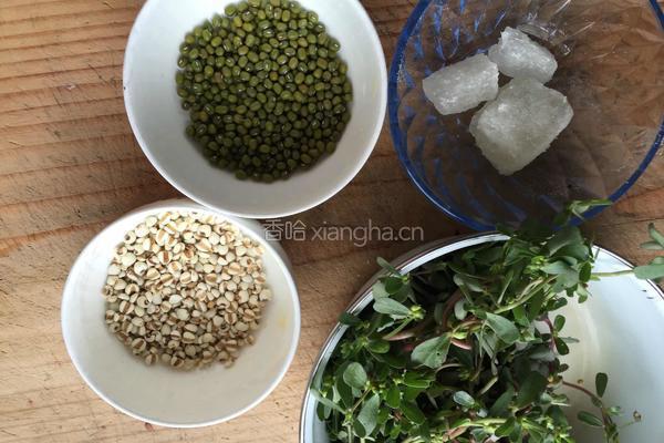 马齿苋绿豆薏仁汤的做法图解1