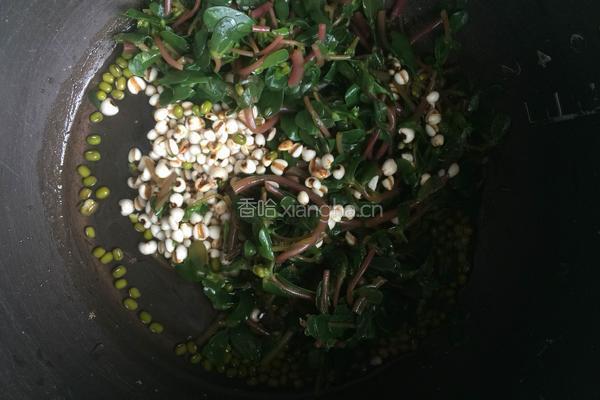 马齿苋绿豆薏仁汤的做法图解5