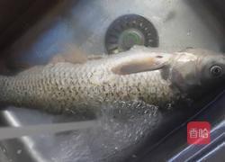 酸菜鱼的做法图解1