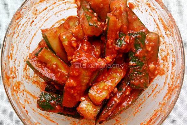 黄瓜泡菜的做法图解5