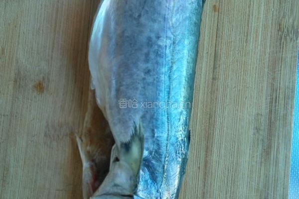 炖鲅鱼的做法图解1