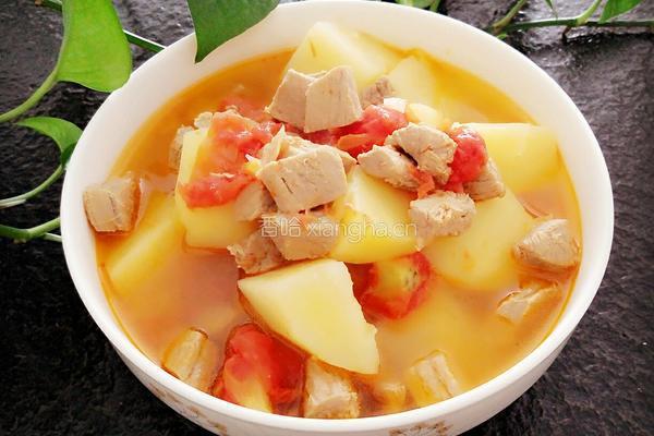 西红柿土豆炖牛肉的做法图解7