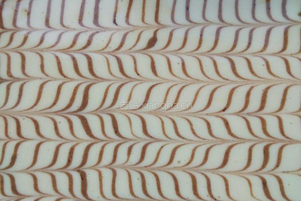 DIY蛋糕的做法图解12