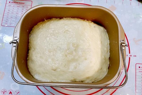 燕麦片苹果面包的做法图解9