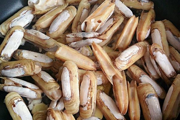 鲜椒炒蛏子的做法图解4