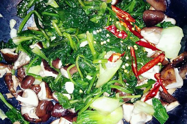 香菇菠菜的做法图解6