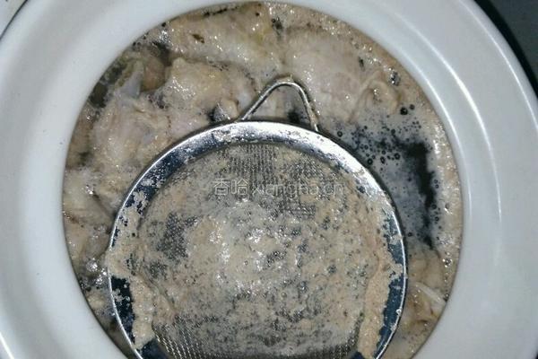 青萝卜炖羊肉的做法图解4