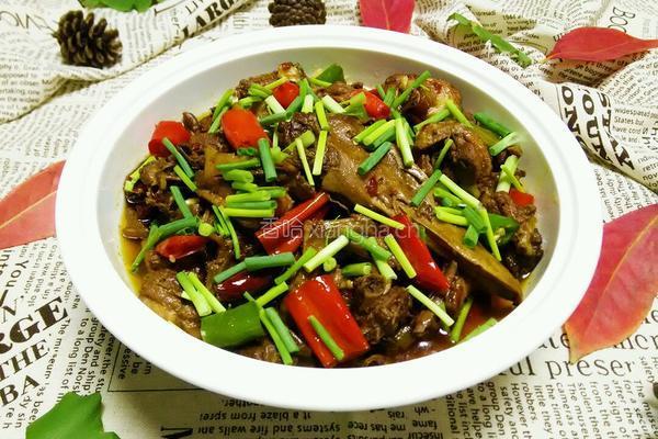 红烧啤酒鸭的做法图解16