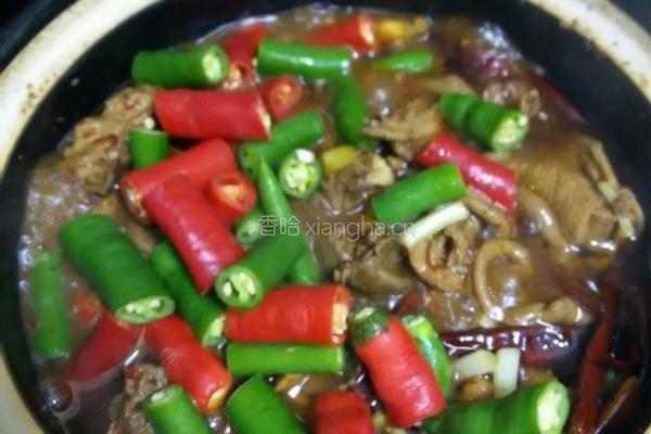 红烧啤酒鸭的做法图解14