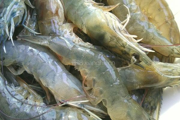 油爆大虾的做法图解1
