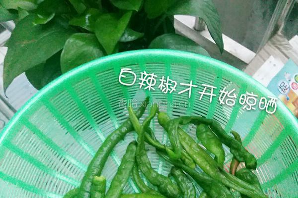 白辣椒的做法图解5