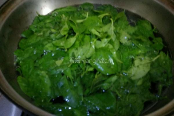 凉拌枸杞叶的做法图解6