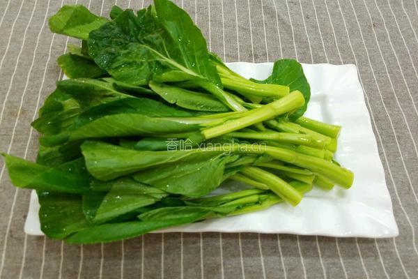 耗油菜心的做法图解1