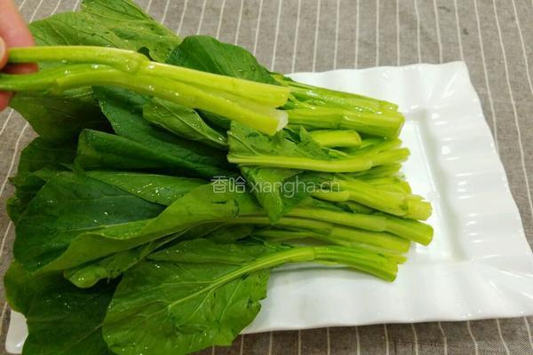 耗油菜心的做法图解2
