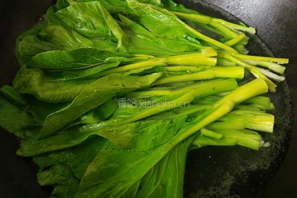 耗油菜心的做法图解5