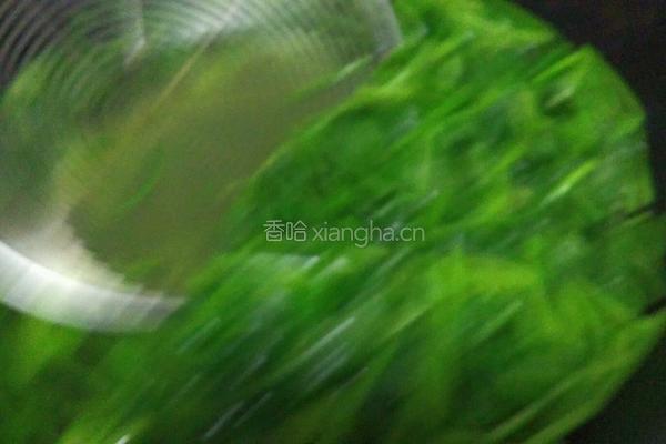 红油菠菜粉皮的做法图解4