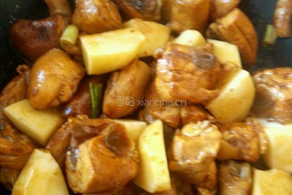香菇土豆炖鸡肉的做法图解5