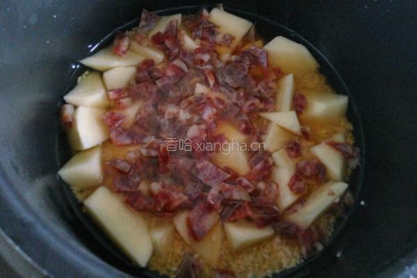 土豆香肠焖饭的做法图解4
