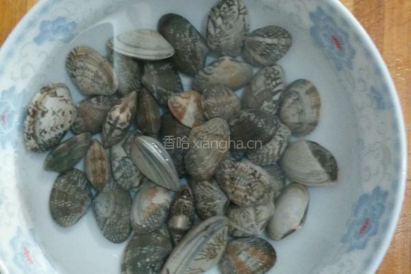 酱香蛤蜊的做法图解1
