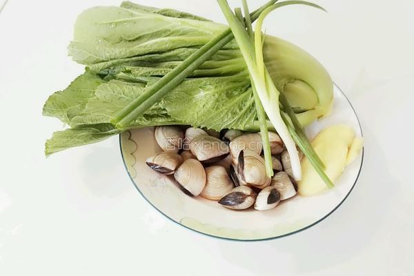沙白芥菜汤的做法图解1