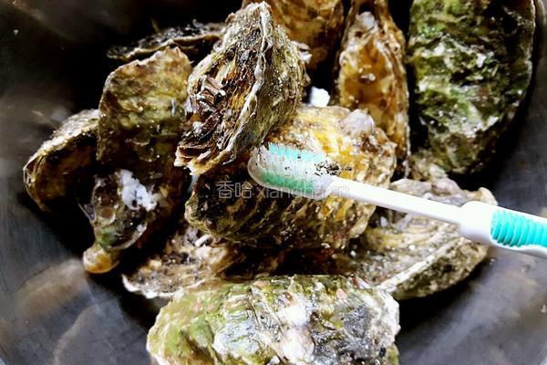 清蒸海蛎子的做法图解1