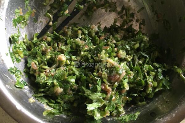 香菜馅饺子的做法图解4