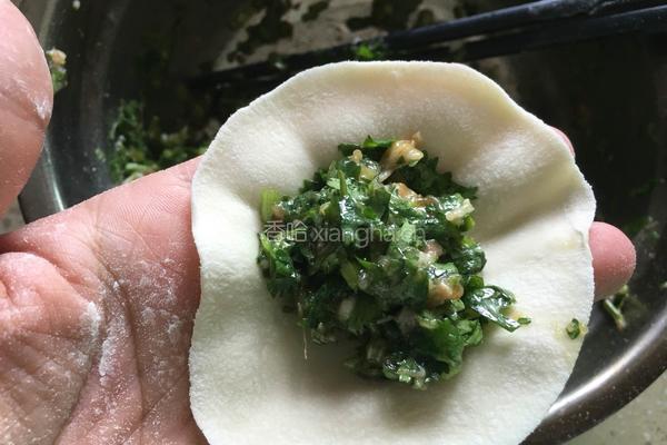 香菜馅饺子的做法图解8