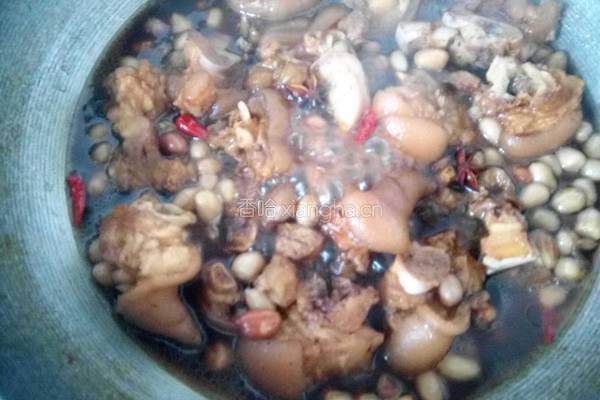 花生猪蹄的做法图解9