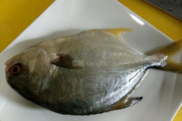 干煎椒盐鲳鱼的做法图解1