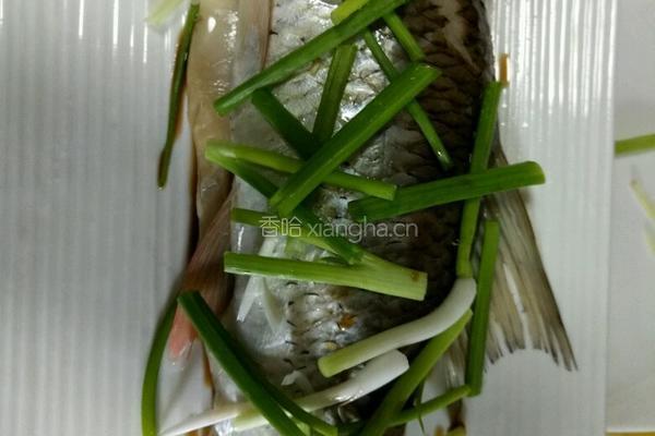 清蒸翘嘴鱼的做法图解6