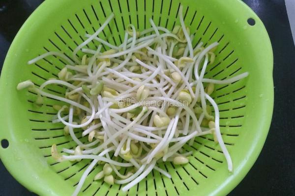 老北京爆肚的做法图解2
