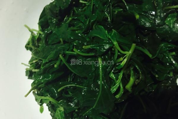 芝麻酱凉拌枸杞叶的做法图解3