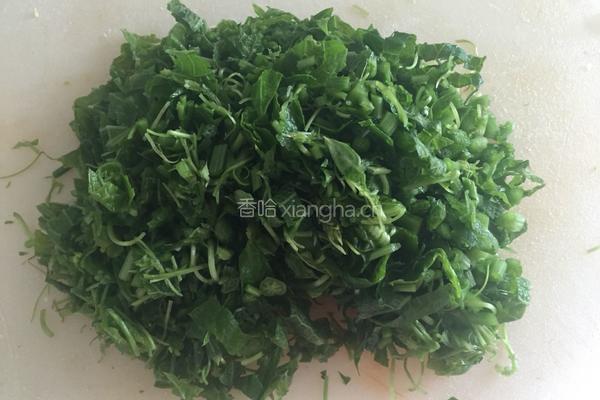 炒南瓜藤的做法图解3