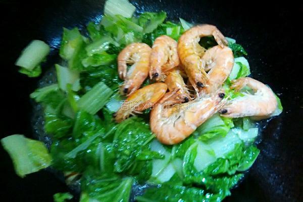 虾炒白菜的做法图解4