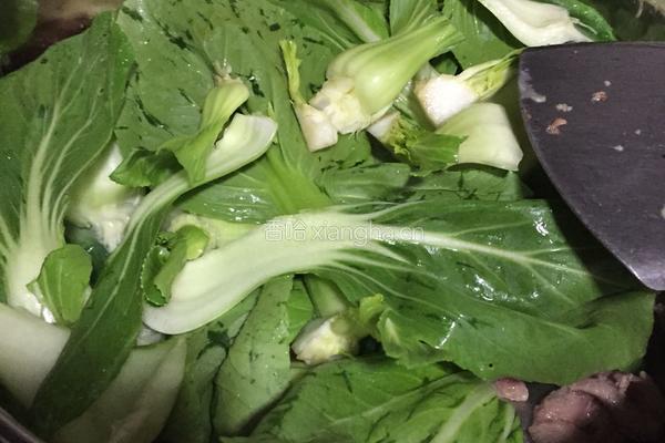 香菇肉片炒江青菜的做法图解4